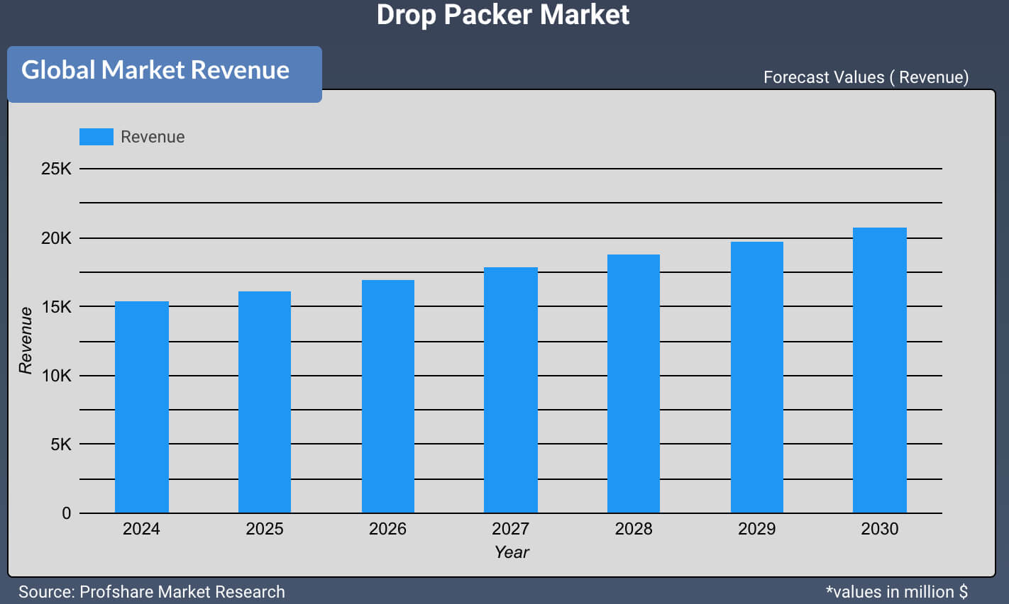 Drop Packer Market